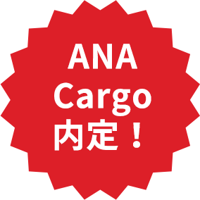 ANACargo内定！