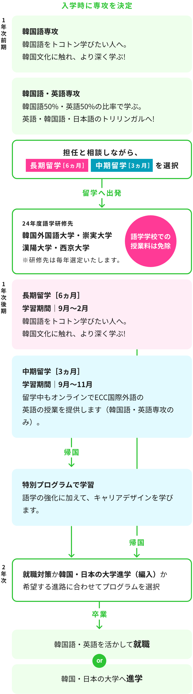 韓国留学プログラムの流れ（入学〜卒業後）