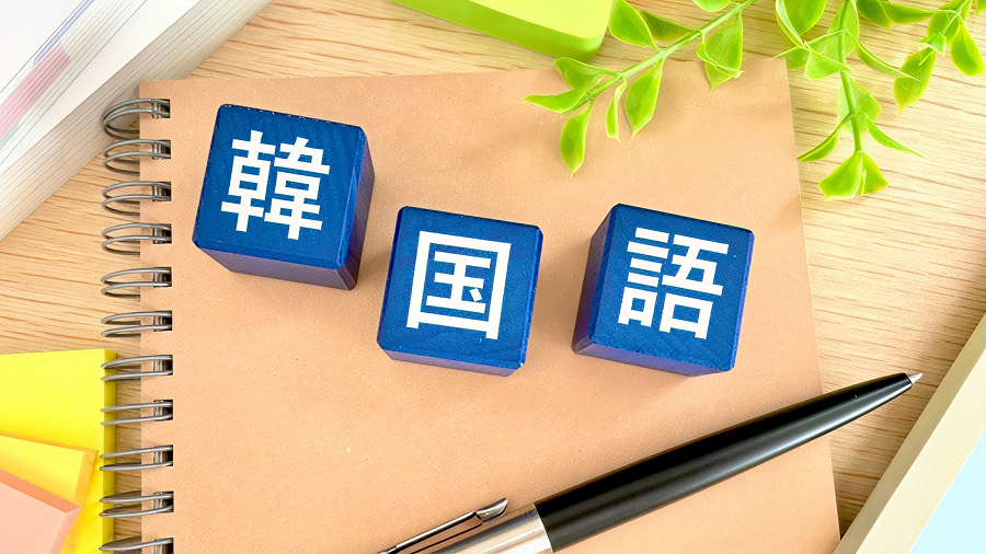 TOPIK（韓国語能力試験）勉強法！初級から高級まで、最短で合格を目指す級別対策ガイド　タイトル画像