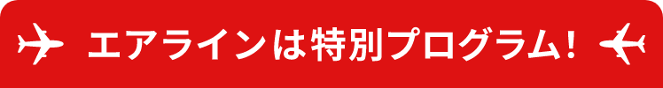 ホテルは特別プログラム！